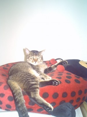 400028.JPG (111.88 KiB) 6578-mal betrachtet 400028.JPG