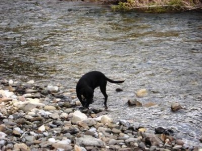 DSC04924.JPG (47.44 KiB) 3139-mal betrachtet DSC04924.JPG