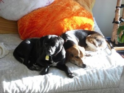 DSC04460.JPG (29.27 KiB) 3141-mal betrachtet DSC04460.JPG