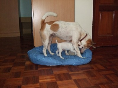 067 Toby&Lissy copy.jpg