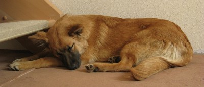 Schlafen_2.jpg