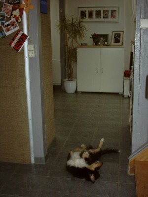 IMAGE0142.JPG