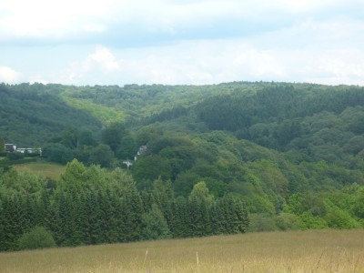 P1030479 - Kopie.JPG