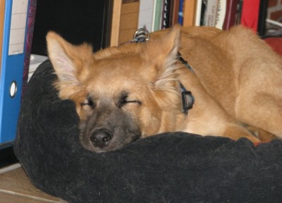 Schlafen.jpg (221.71 KiB) 4485-mal betrachtet Schlafen.jpg