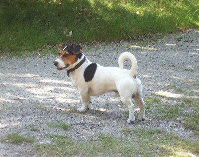 100_8322.jpg