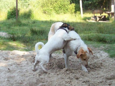 100_8232.jpg