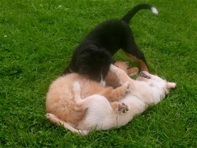 DSCN9230.jpg