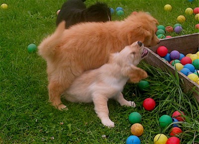 DSCN9228.jpg