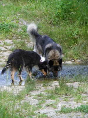 IMGP0076.jpg