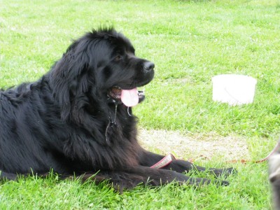 IMGP0099.jpg (721.36 KiB) 2811-mal betrachtet IMGP0099.jpg