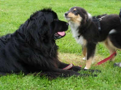 IMGP0100.jpg (593.7 KiB) 2820-mal betrachtet IMGP0100.jpg