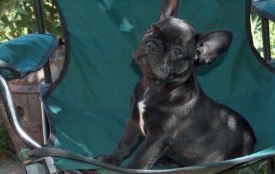 finci1.JPG (111.85 KiB) 5883-mal betrachtet finci1.JPG