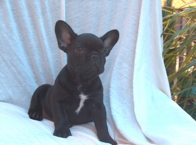 finci9.JPG (110.45 KiB) 5886-mal betrachtet finci9.JPG