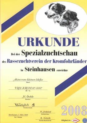 2.JPG