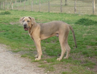 Lennox 12.4.09 - Kopie.JPG