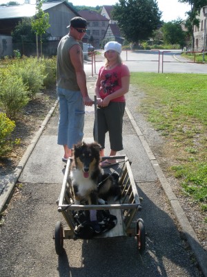 IMGP0419.jpg