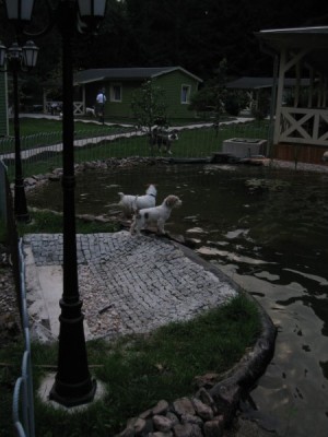 IMG_1644.jpg