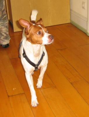 Img_0143.jpg (66.63 KiB) 4905-mal betrachtet Img_0143.jpg