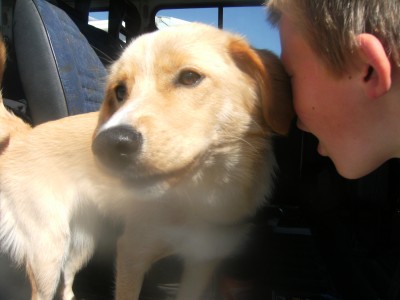 17 Mai 2009 129.jpg (786.73 KiB) 3857-mal betrachtet 17 Mai 2009 129.jpg