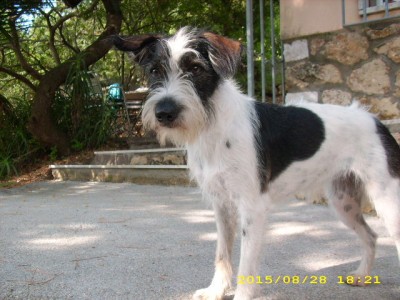 elba-urlaub 2009 011.jpg