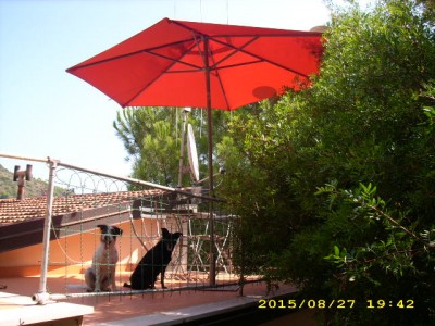 elba-urlaub 2009 016.jpg