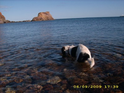 elba-urlaub 2009 083.jpg