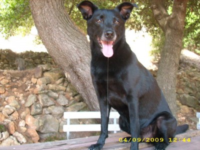 elba-urlaub 2009 084.jpg