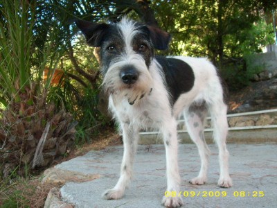 elba-urlaub 2009 053.jpg