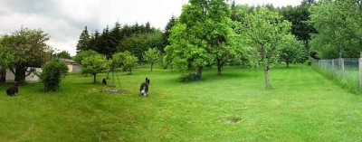 Hundewiese 2.jpg