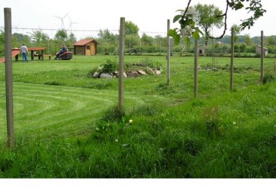 Hundewiese wird gemäht klein.JPG