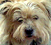 Bild044neu.gif