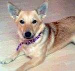 Bild058.gif