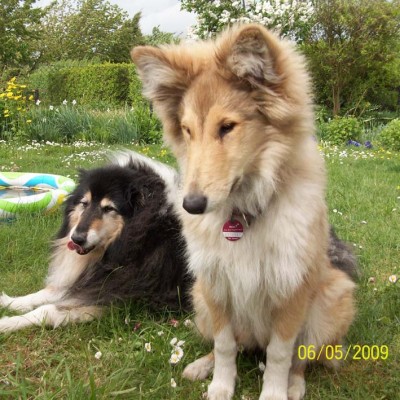 lucy&amelia.12.05.09.d.jpg