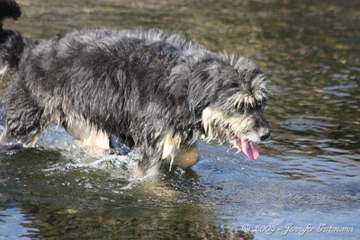 Gir_Fri_180909 (26).jpg