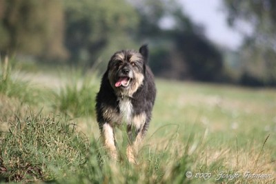 Gir_Fri_180909 (10).jpg