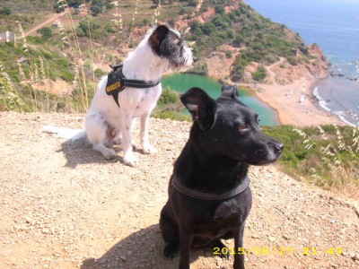 elba-urlaub 2009 015.jpg