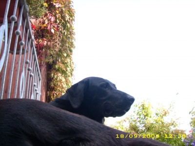 taiga2 004.jpg