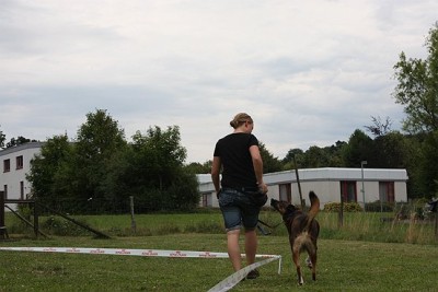 Lon_Anf_0709 (41).jpg (45.87 KiB) 8029-mal betrachtet Lon_Anf_0709 (41).jpg