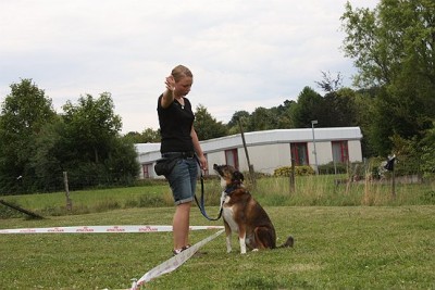 Lon_Anf_0709 (46).jpg (60.7 KiB) 7431-mal betrachtet Lon_Anf_0709 (46).jpg