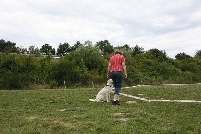 Lon_Anf_0709 (78).jpg (62.17 KiB) 8032-mal betrachtet Lon_Anf_0709 (78).jpg