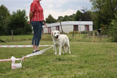 Lon_Anf_0709 (124).jpg (72.85 KiB) 7431-mal betrachtet Lon_Anf_0709 (124).jpg