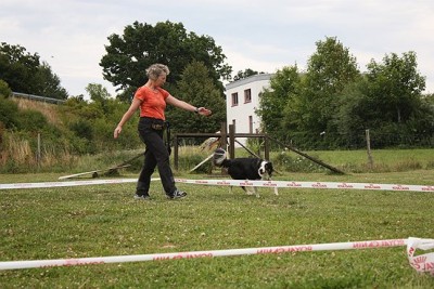 Lon_Anf_0709 (212).jpg (73.48 KiB) 7431-mal betrachtet Lon_Anf_0709 (212).jpg