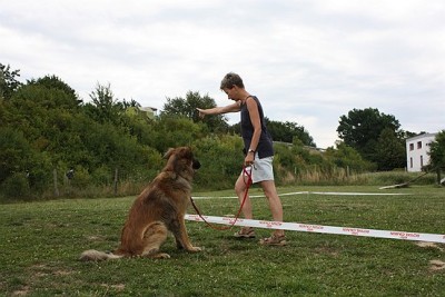 Lon_Anf_0709 (314).jpg (58.9 KiB) 8030-mal betrachtet Lon_Anf_0709 (314).jpg