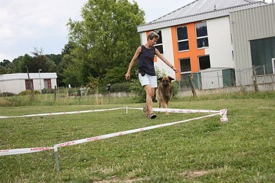 Lon_Anf_0709 (429).jpg (78.15 KiB) 8041-mal betrachtet Lon_Anf_0709 (429).jpg