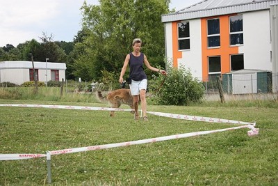 Lon_Anf_0709 (328).jpg (79.72 KiB) 7432-mal betrachtet Lon_Anf_0709 (328).jpg