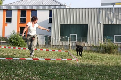 Lon_Anf_0709 (477).jpg (78.32 KiB) 7433-mal betrachtet Lon_Anf_0709 (477).jpg