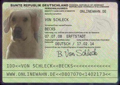 a-bild.jpg