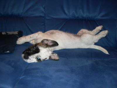 DSCN0708.JPG (71.08 KiB) 5781-mal betrachtet DSCN0708.JPG