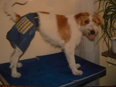 Akira s Schlüpferfotos 003.jpg