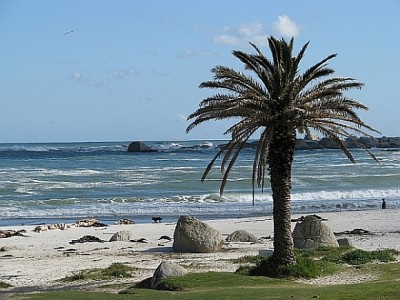 Camps_Bay.jpg (246.38 KiB) 3946 mal betrachtet Die Camps Bay.